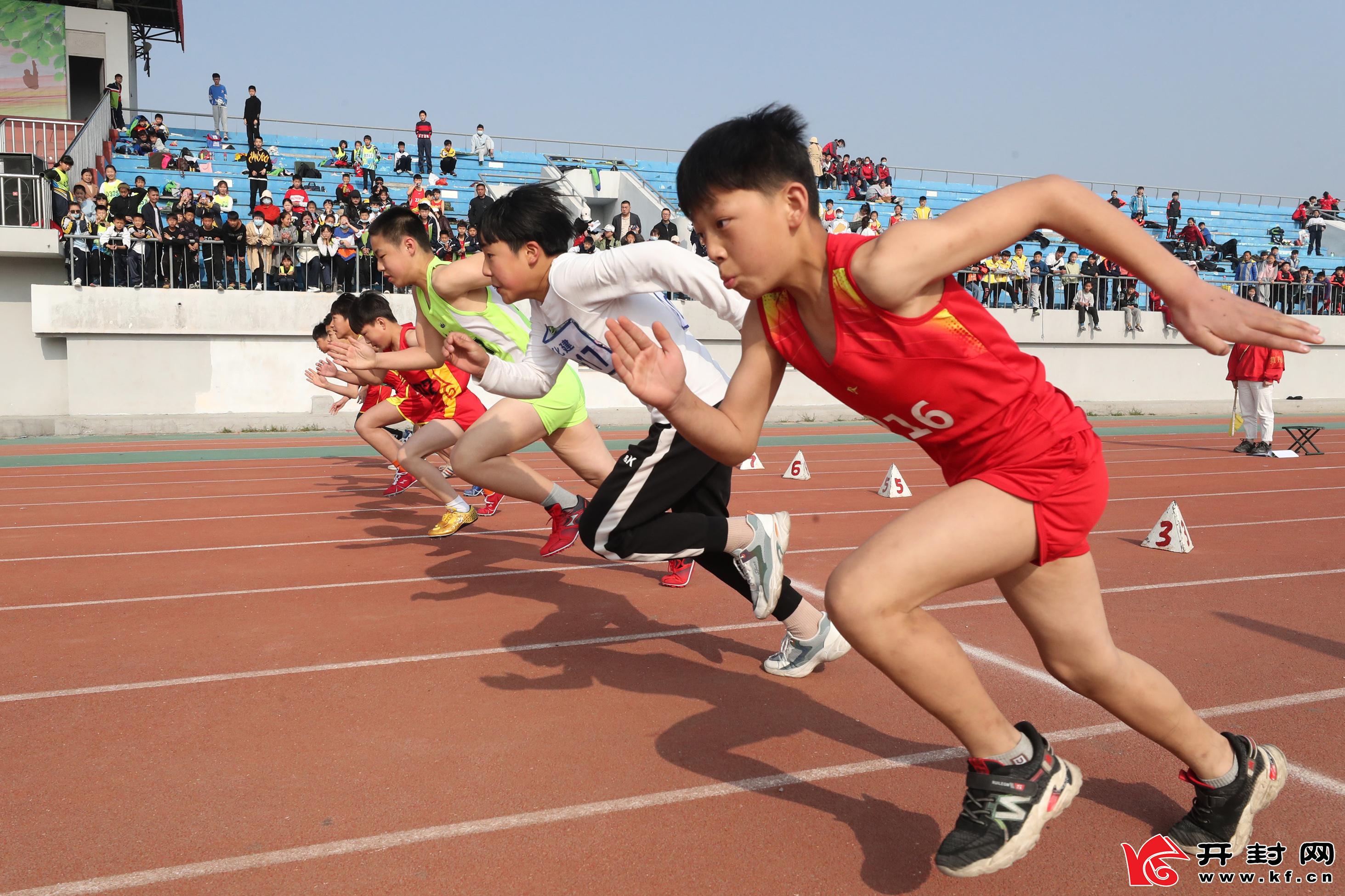 运动汇智乐享未来——长水统战青年运动会玩出新花样